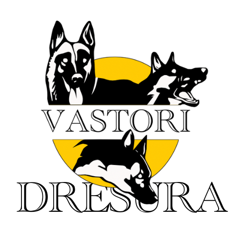 VASTORI dresura